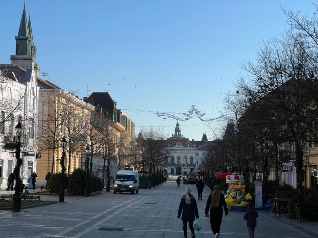 Dunja Apartament Sombor